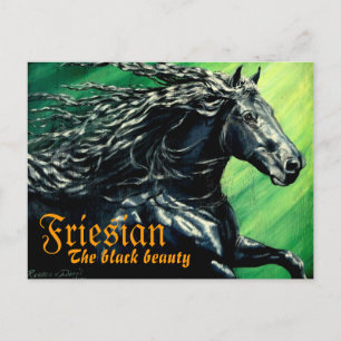 Friesian, het zwarte beuaty, het hengst paard briefkaart