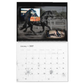 Friesian Horse Calendar Contest Kalender (Jan 2027)