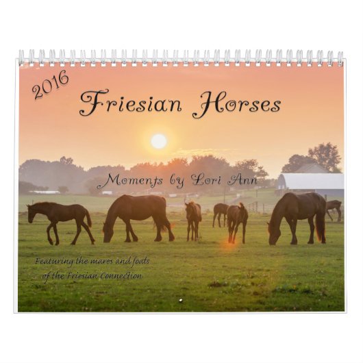 Friesian Horse Calendar Kalender (Hoes)