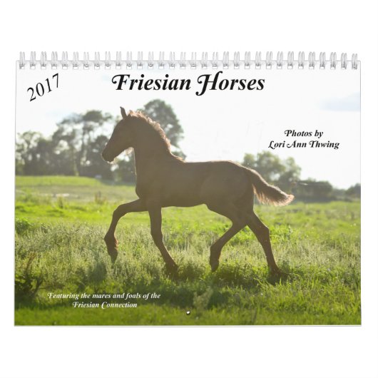 Friesian Horse Calendar Kalender (Hoes)