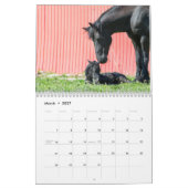 Friesian Horse Calendar Kalender (Mar 2027)