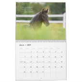 Friesian Horse Calendar met Bijbelversen Kalender (Mar 2027)