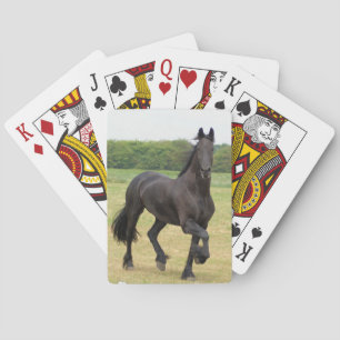 Friesian Horse Deck of Cards Speelkaarten