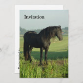 Friesian Horse Kaart (Voorkant / Achterkant)