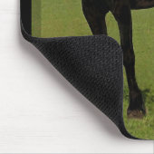 Friesian Horse Mousepad #9 Muismat (Hoek)