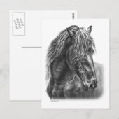 Friesian Horse Portrait Wavy Mane Briefkaart (Voorkant / Achterkant)