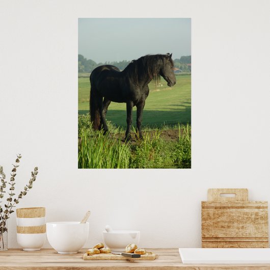 Friesian Horse Poster (Keuken)