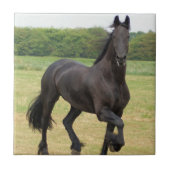 Friesian Horse Tile Tegeltje (Voorkant)