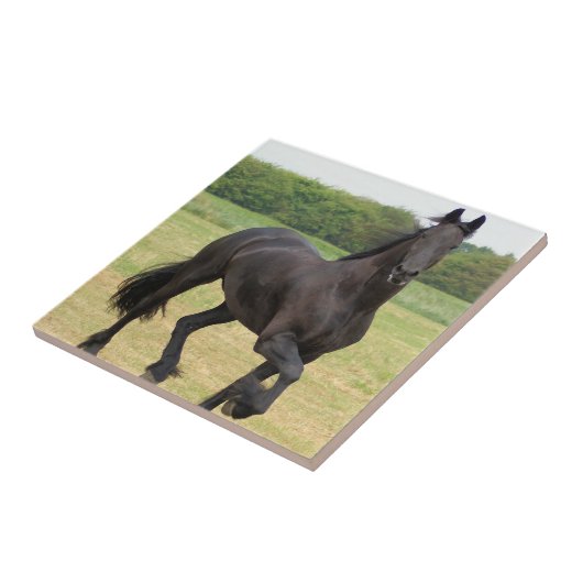 Friesian Horse Tile Tegeltje (Zijkant)