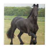 Friesian Horse Tile Tegeltje (Voorkant)