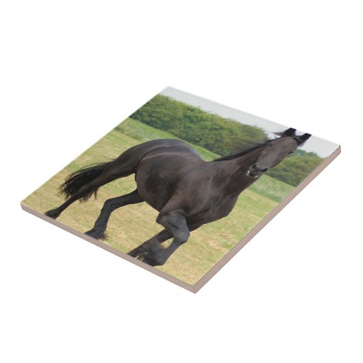 Friesian Horse Tile Tegeltje (Zijkant)