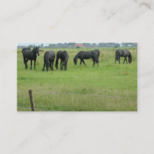 Friesian Horses in Green Meadow Small Photo Card Visitekaartje