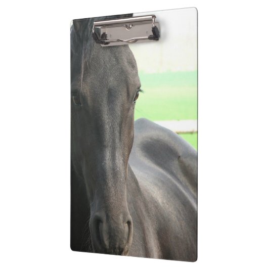 Friesian Horses Klembord (Links)