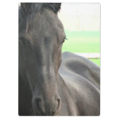 Friesian Horses Klembord (Achterkant)