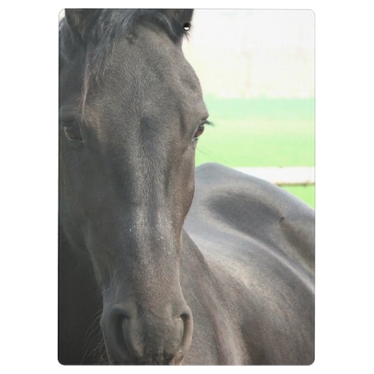 Friesian Horses Klembord (Achterkant)