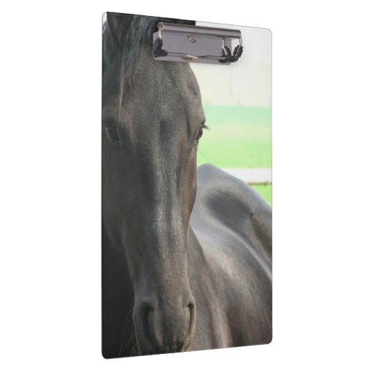 Friesian Horses Klembord (Rechts)