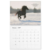 Friesian Horses with Bible Verses 2021 Kalender (Feb 2027)