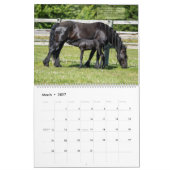 Friesian Horses with Bible Verses 2021 Kalender (Mar 2027)
