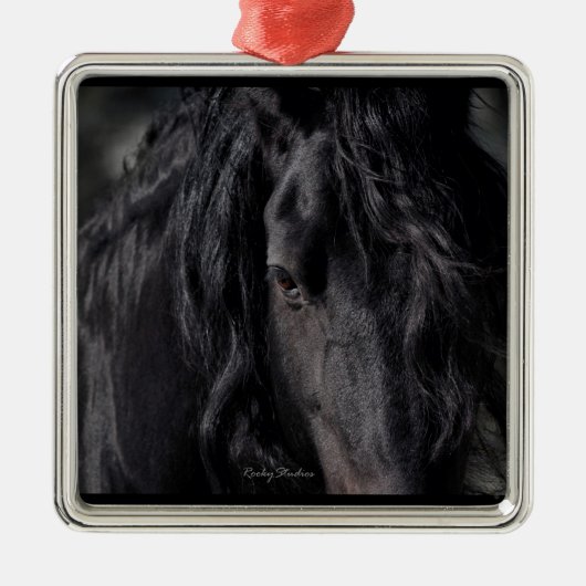 Friesian Intimate Metalen Ornament (Voorkant)