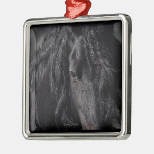 Friesian Intimate Metalen Ornament (Links)