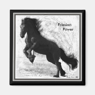 Friesian Magnet 2 van de Macht