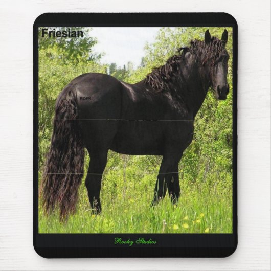 Friesian Mousepad Muismat (Voorkant)