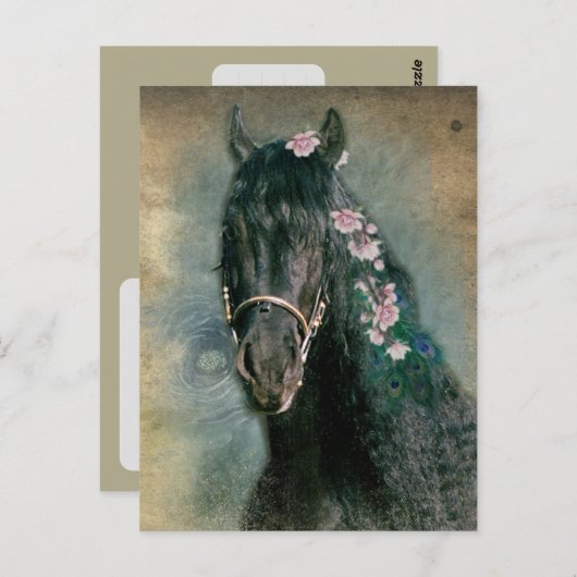 Friesian Paard - Ansichtkaart Briefkaart (Voorkant / Achterkant)