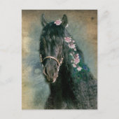 Friesian Paard - Ansichtkaart Briefkaart (Voorkant)