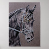 Friesian Poster (Voorkant)