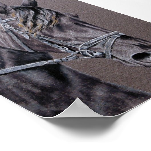 Friesian Poster (Hoek)