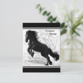 Friesian Power Briefkaart #3 (Staand voorkant)