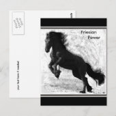 Friesian Power Briefkaart #3 (Voorkant / Achterkant)