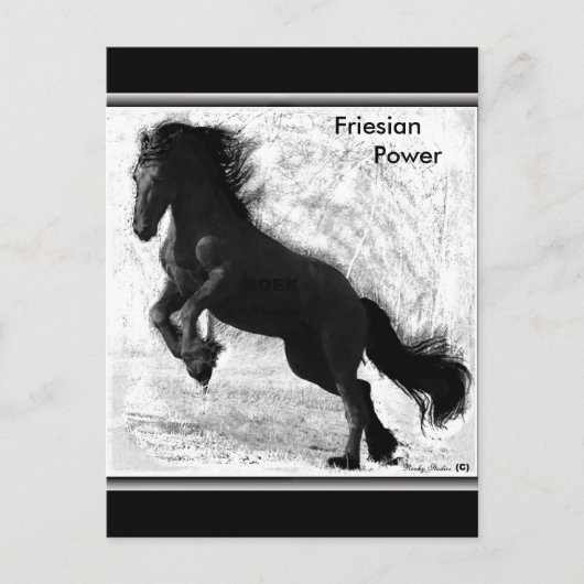 Friesian Power Briefkaart #3 (Voorkant)