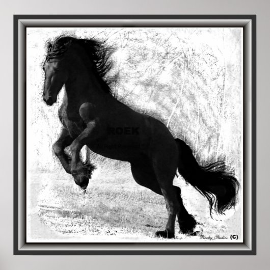 Friesian Power Print (Voorkant)