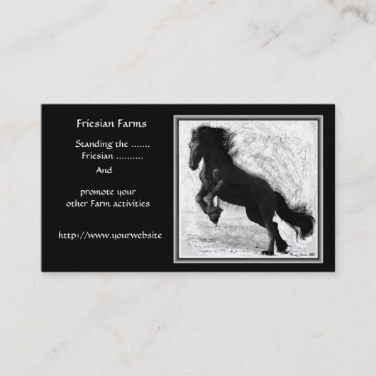 Friesian Power Visitekaartjes (Voorkant)