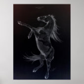 Friesian Rearing Black & White Poster (Voorkant)