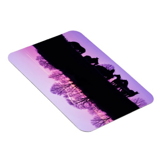 Friesian Reflections at Sunset Magneet (Rechterzijde)