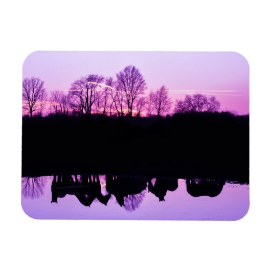 Friesian Reflections at Sunset Magneet (Horizontaal)