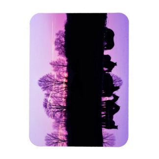 Friesian Reflections at Sunset Magneet