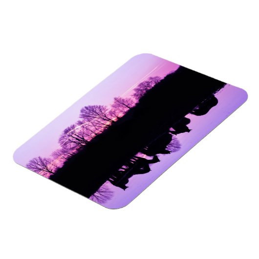 Friesian Reflections at Sunset Magneet (Linkerzijde)