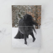 Friesian rent in het Wenskaart van de Snow II-paar Kaart (Binnen)