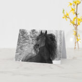 Friesian rent in het Wenskaart van de Snow II-paar Kaart (Gele Bloem)