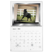 Friesian Reusachtige Foto van het Paard Kalender (Mar 2026)