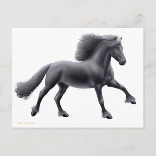Friesian Running Free Briefkaart (Voorkant)