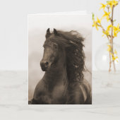 Friesian Running Horse Wenskaart Kaart (Gele Bloem)