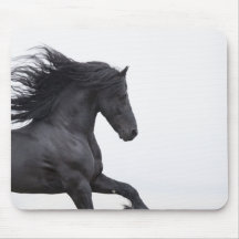 Friesian Runs Mousepad
