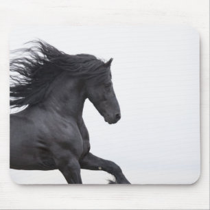 Friesian Runs Mousepad Muismat