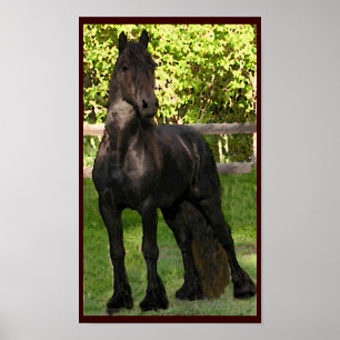 Friesian schilderijen print