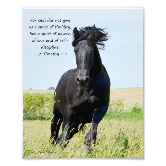 Friesian Stallion 2 Timothy 1:7 Foto Afdruk (Voorkant)