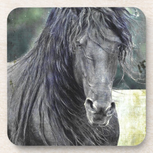 Friesian Stallion Bier Onderzetter